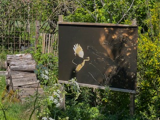 IMG_4030.jpeg