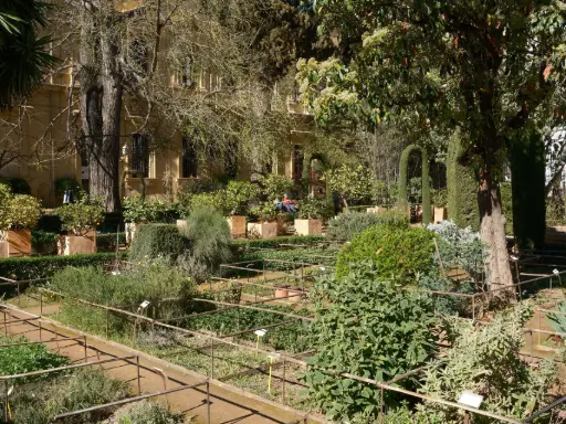 Garden with clearly defined geometric plots.