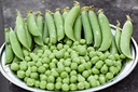 Petit Pois, Wando.jpg