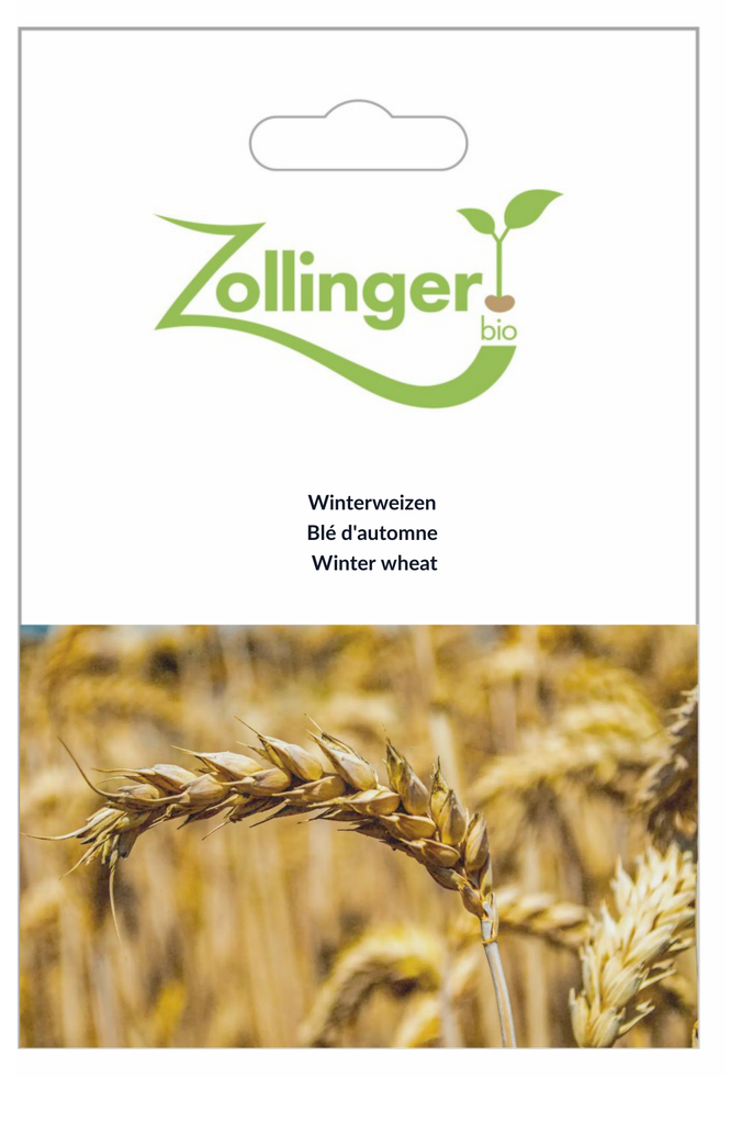 Sachet recto Blé d'automne