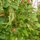 Zollinger Product Photos (1).webp