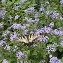 Zollinger Product Photos (7).webp