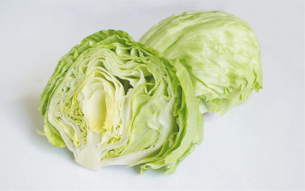 [AA-3049-00] Laitue, Iceberg (Portion).webp