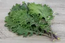 [AA-1121-00] Chou Kale, Russe Rouge (Portion) (1).webp