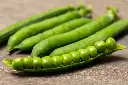 [AA-0403-00] Petit Pois, Sprinter de Marbach (Portion).webp