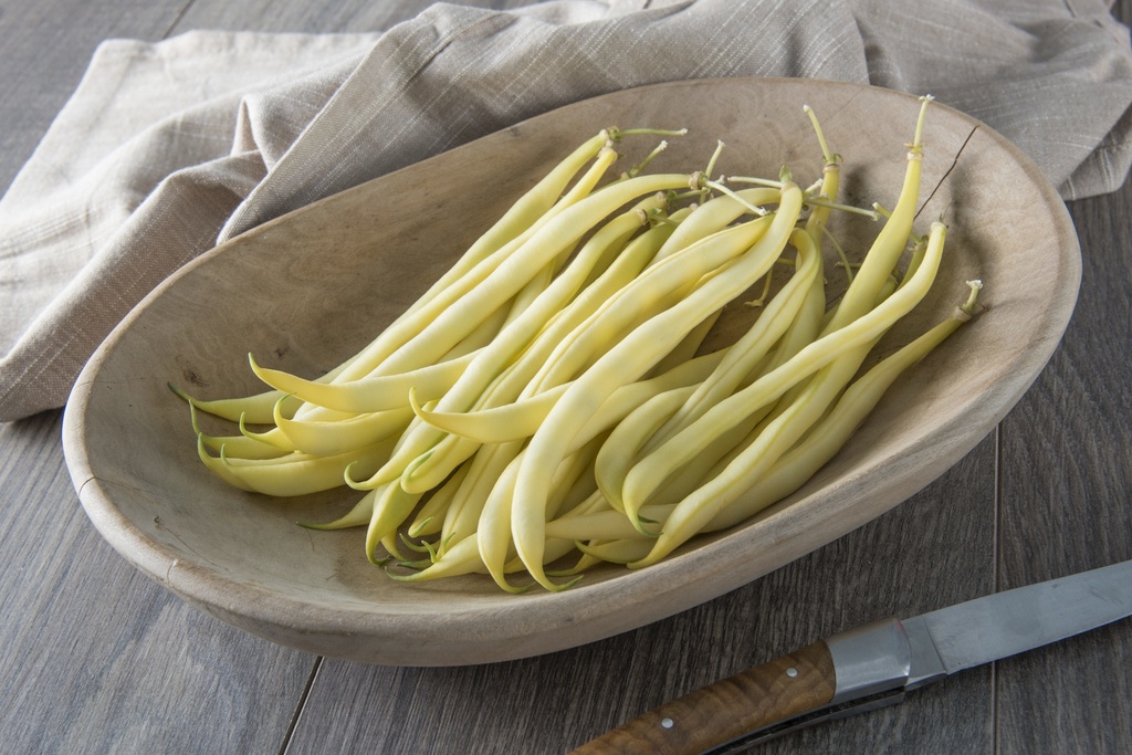 Bush bean 'Major'