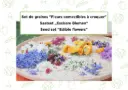 Saatset 'Essbare Blumen'