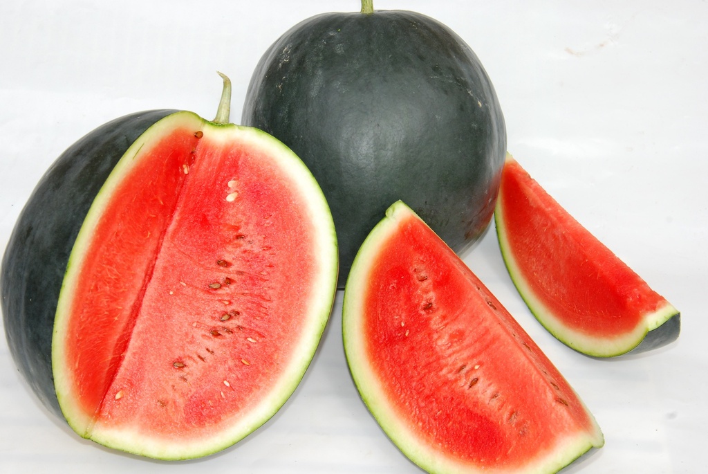 Watermelon 'Sugar Baby'