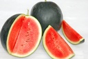 Watermelon 'Sugar Baby'