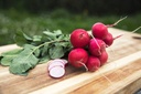 Radies 'Cherry Belle'