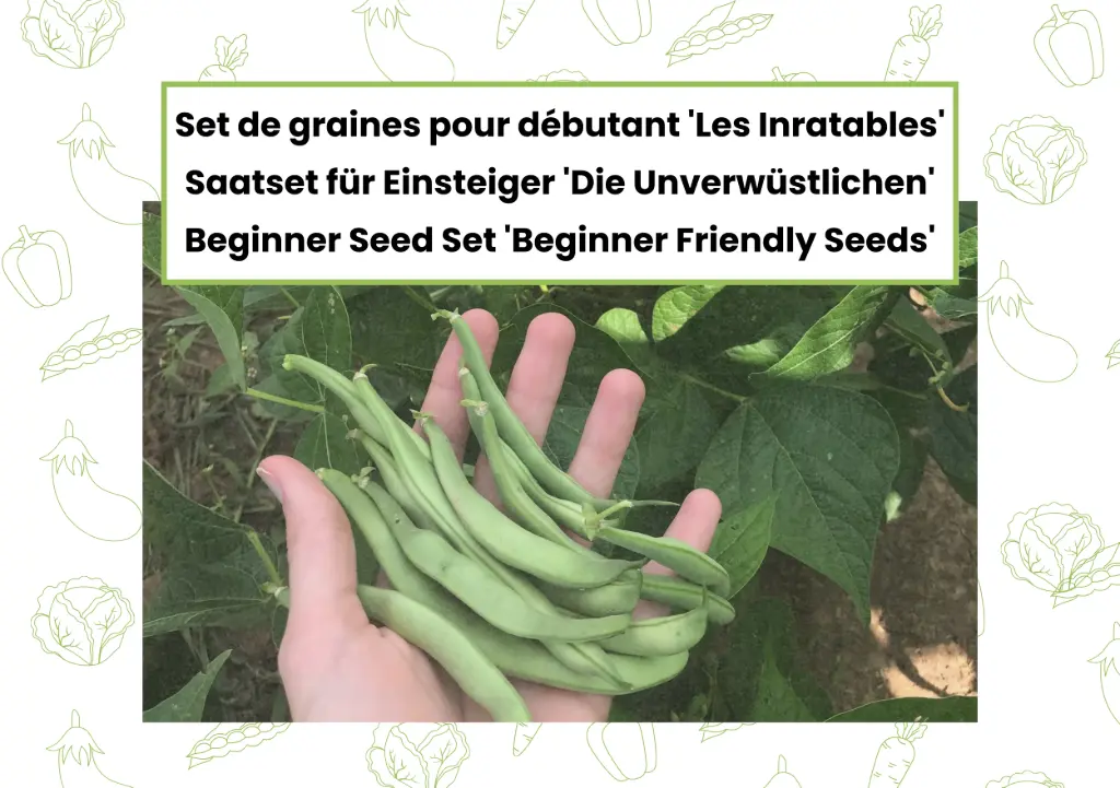 Saatset für Einsteiger 'Die Unverwüstlichen'