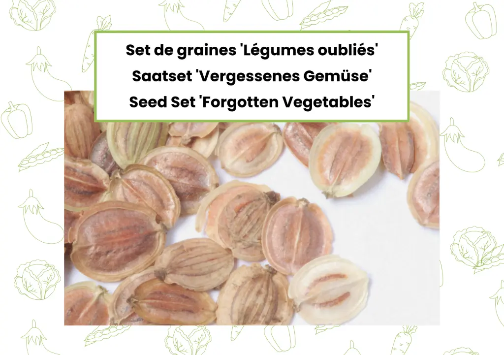 Saatset 'Vergessenes Gemüse'