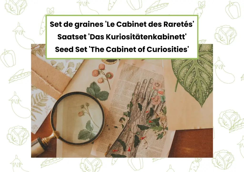 Set de graines 'Le Cabinet des Raretés'