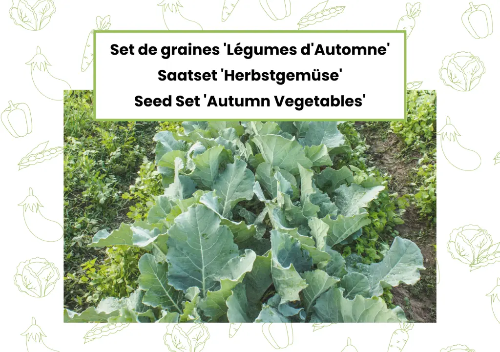 Set de graines 'Légumes d'Automne'