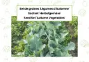 Saatset 'Herbstgemüse'