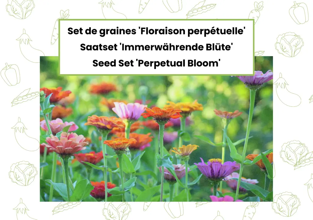Seed Set 'Perpetual Bloom'