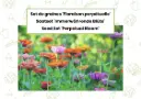 Seed Set 'Perpetual Bloom'