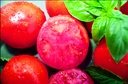 Tomate 'Douce de Hongrie Sélection Z'