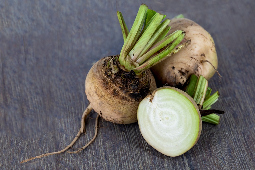 Beet (Beetroot), Albina Vereduna