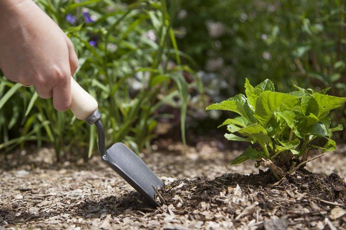Krumpholz: des outils de jardinage de haute qualité