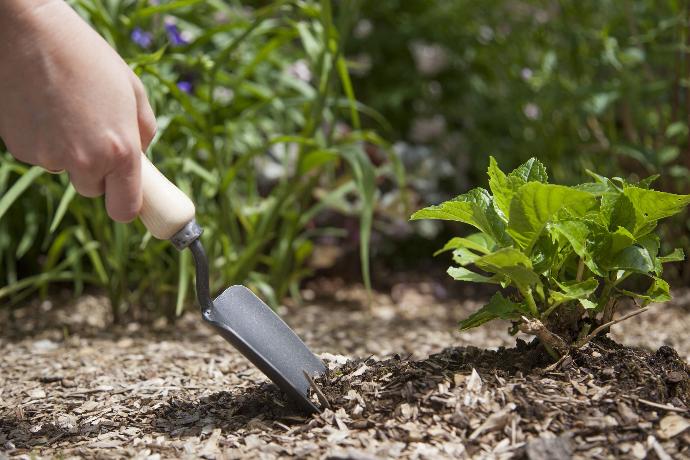 Krumpholz: attrezzi da giardinaggio di alta qualità