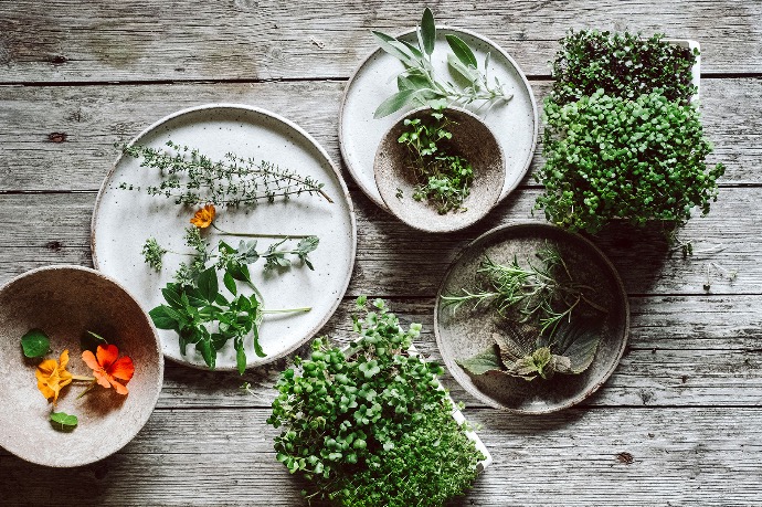 Microgreens Heimgart
