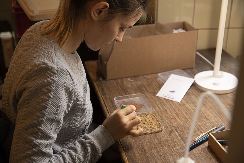 Tests de germination et stockage de graines Zollinger Bio