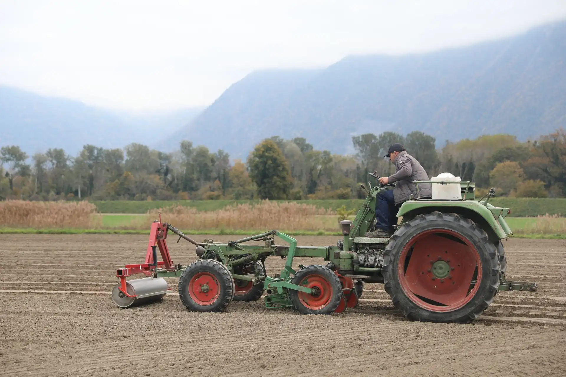 Tracteur dans les champs en octobre pour le semis des graines de pois mangetout d'hiver