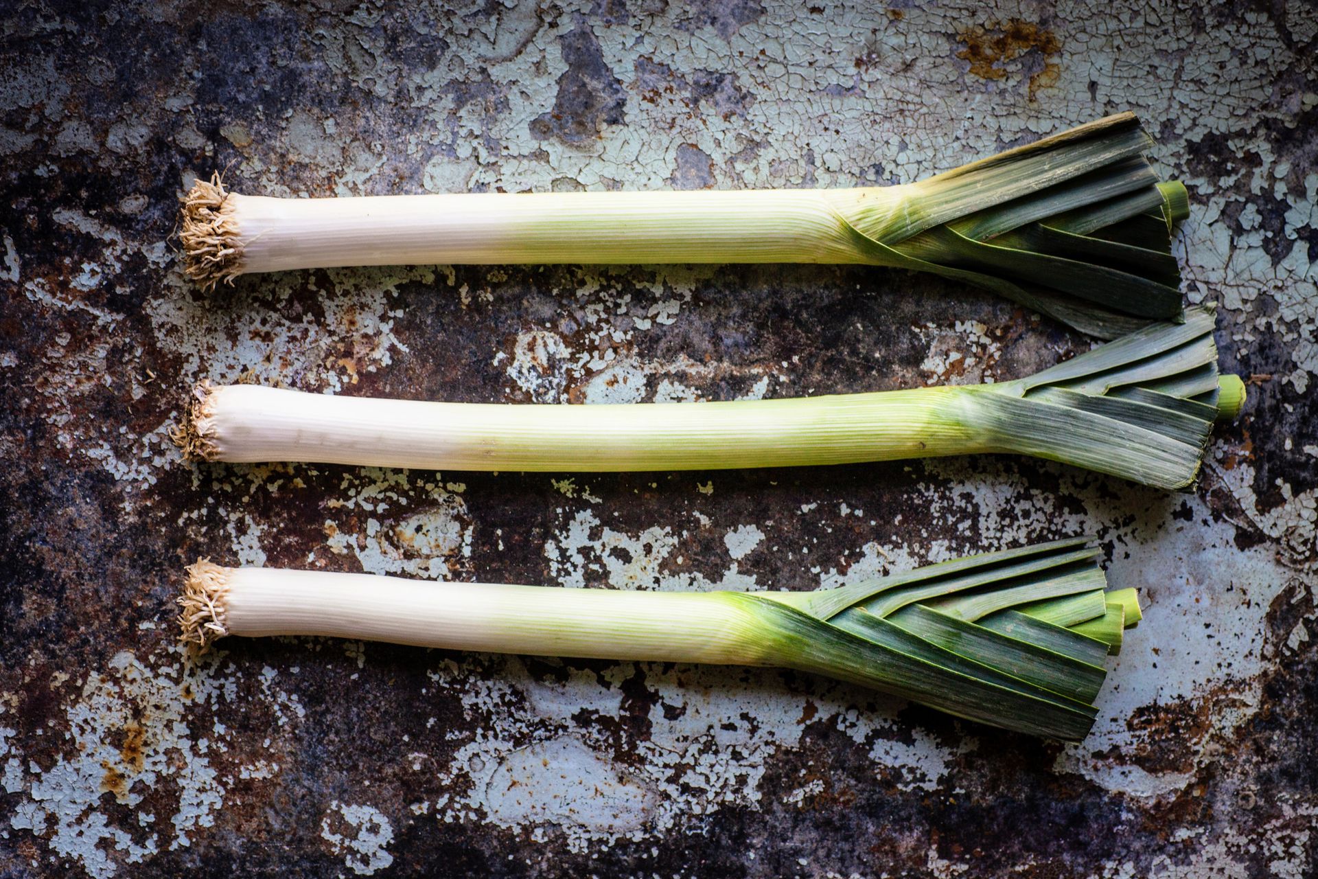 Сушёный лук-порей как приправа