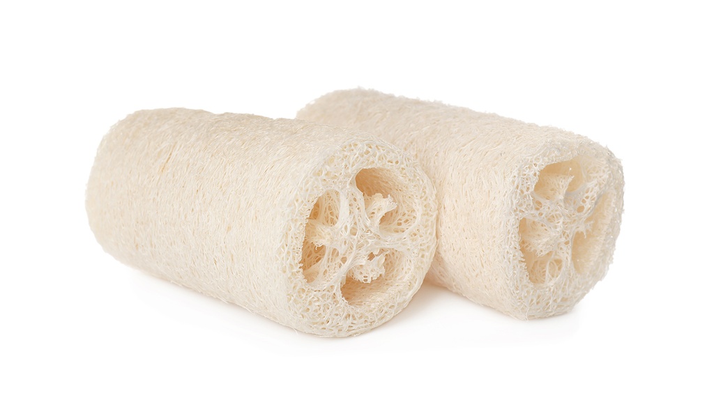 Courge éponge (Luffa), Spongy