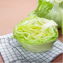 Zollinger Eisberg Salat