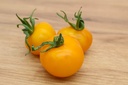 Tomate grappe, Jaune Golden Sunrise