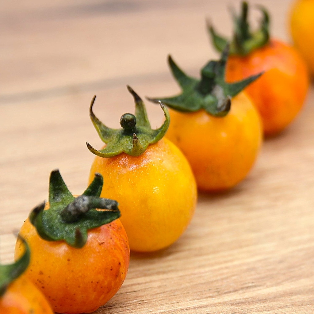 Tomate, Cherry Orange