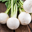 Radis, Blanc