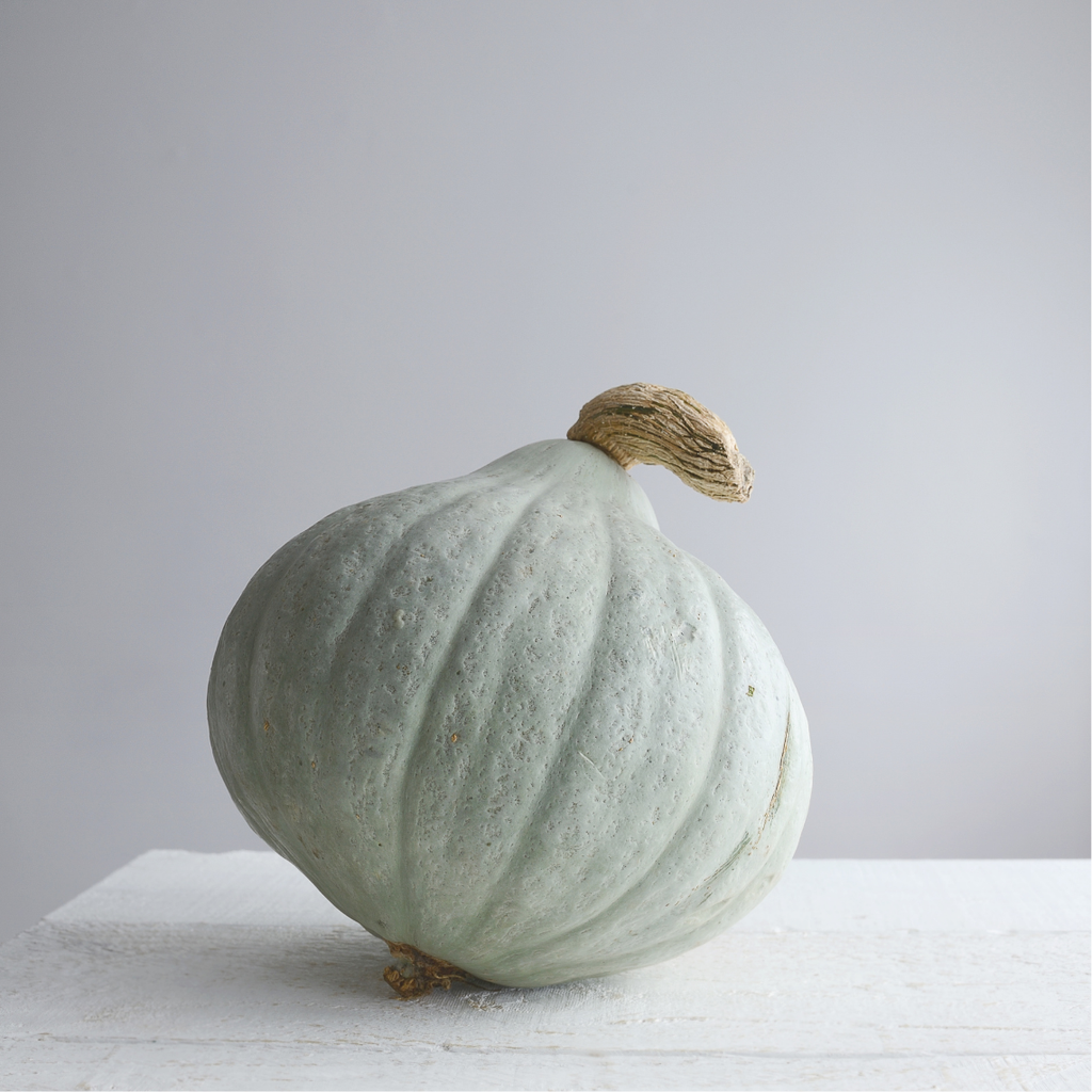 Courge, Blue Ballet