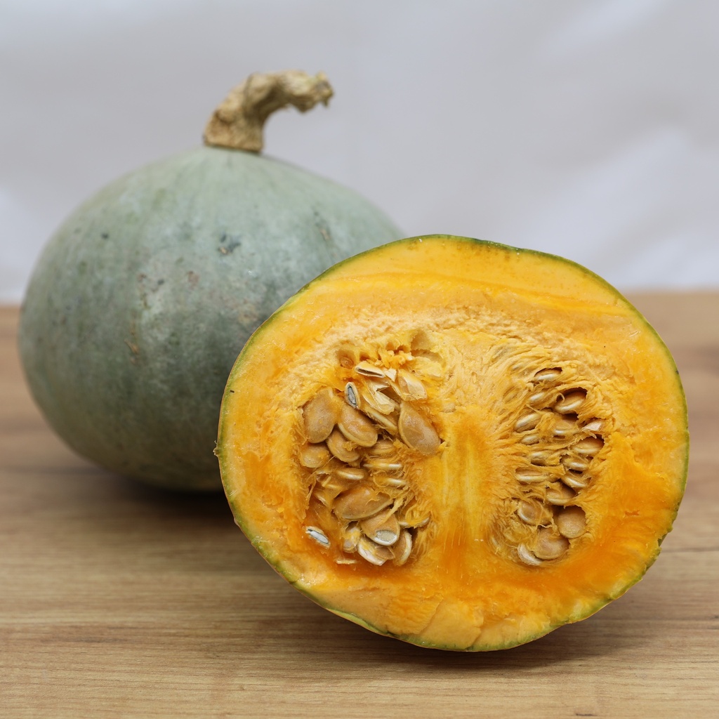 Courge, Blue Ballet