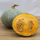 Courge, Blue Ballet