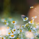 Zollinger Product Photos (5).webp