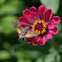 Zollinger Product Photos (6).webp