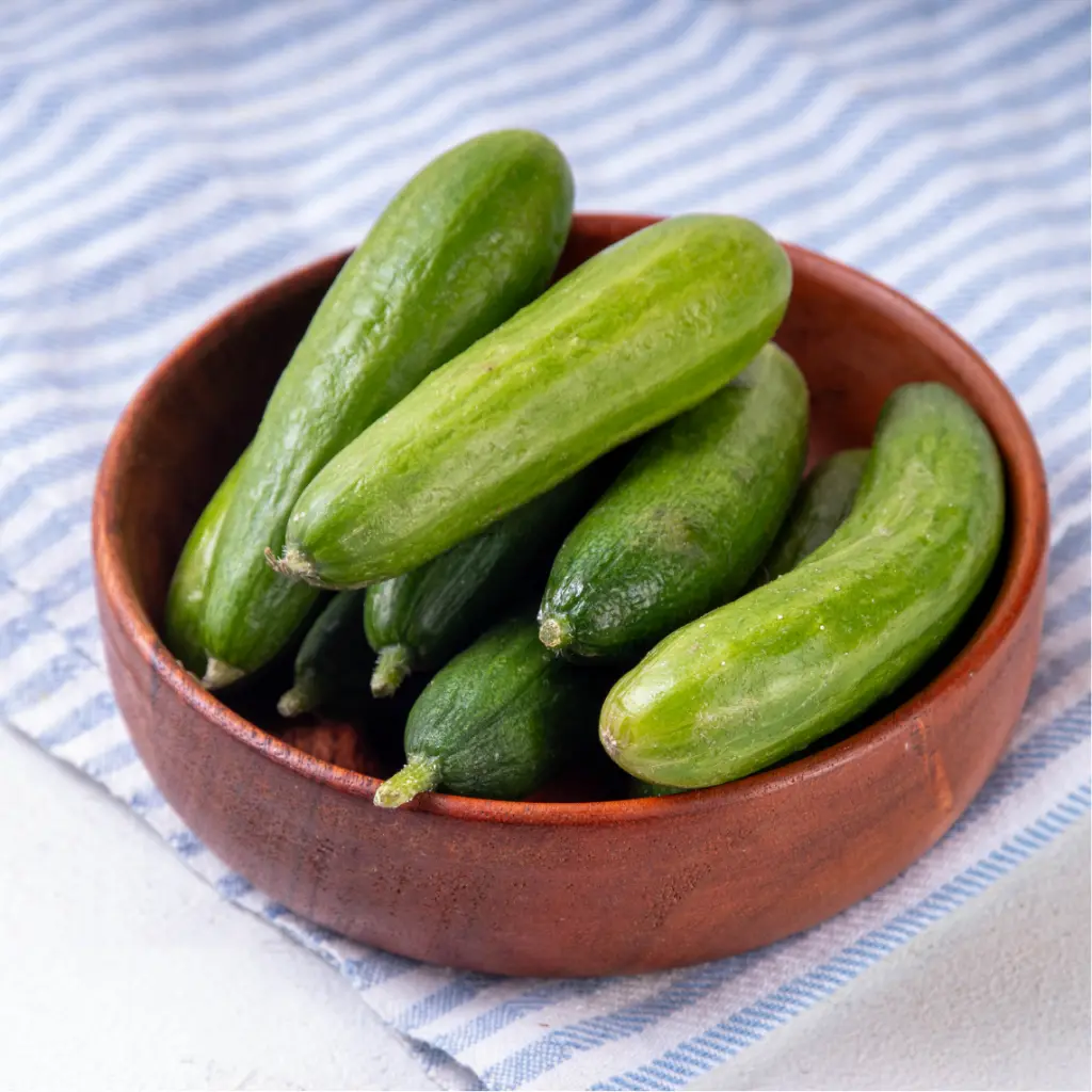 Zollinger Product Photos (2).webp