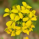 Zollinger Product Photos (2).webp