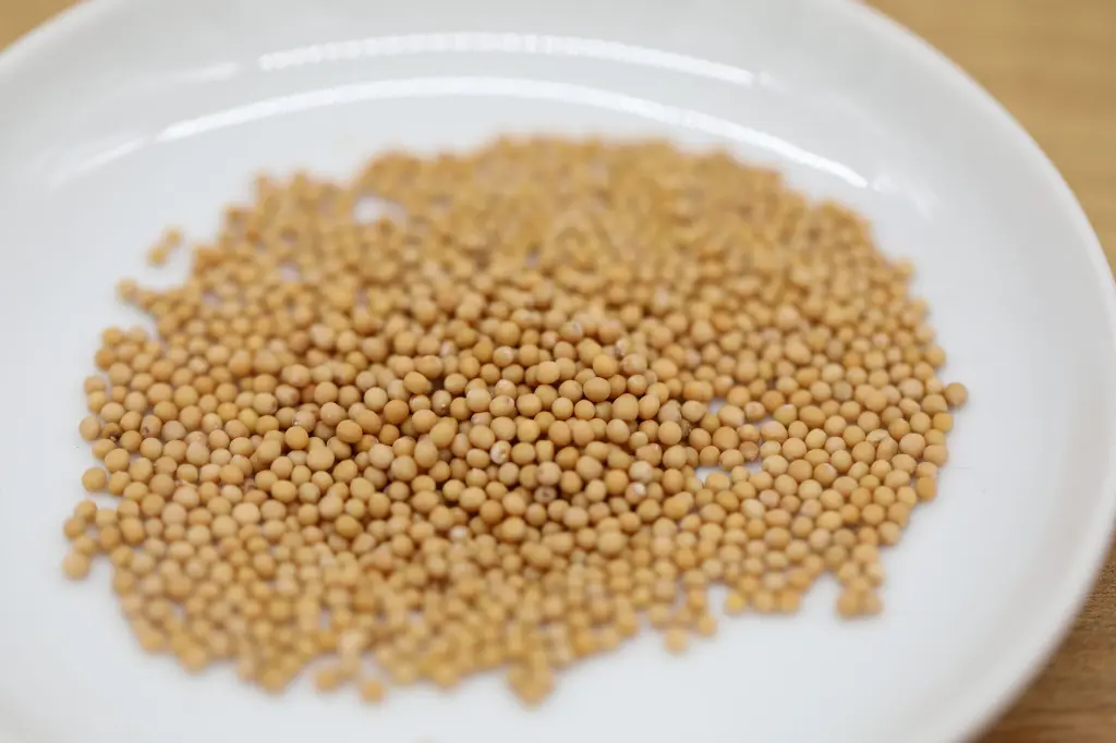 Moutarde blanche.webp