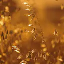 Zollinger Product Photos (1).webp