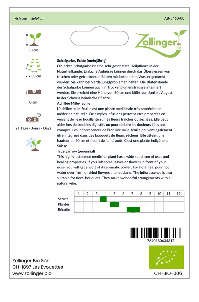 Sachet recto Achillée Mille-feuille
