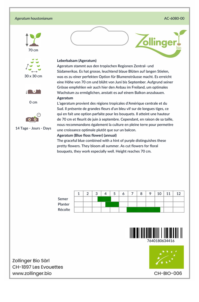 Sachet recto Ageratum