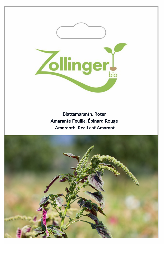 Sachet recto Amarante Feuille, Épinard Rouge
