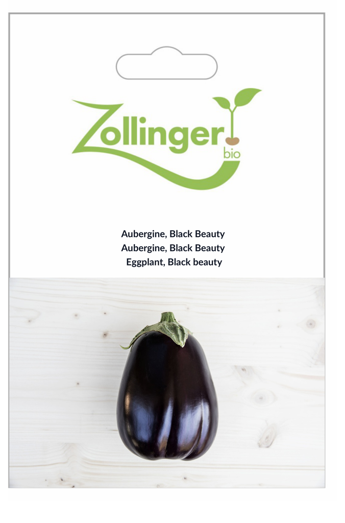 Sachet recto Aubergine, Black Beauty