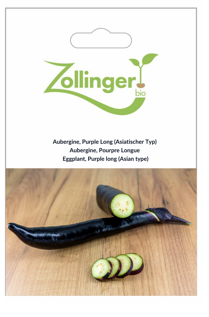 Sachet recto Aubergine, Pourpre Longue