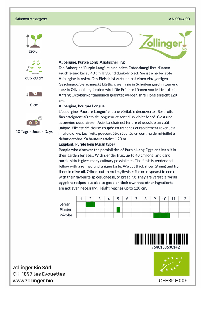 Sachet recto Aubergine, Pourpre Longue