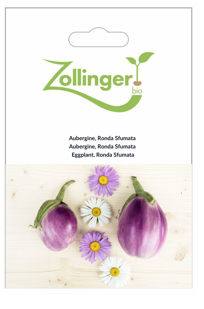 Sachet recto Aubergine, Ronda Sfumata